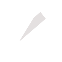 漳州临时保镖服务